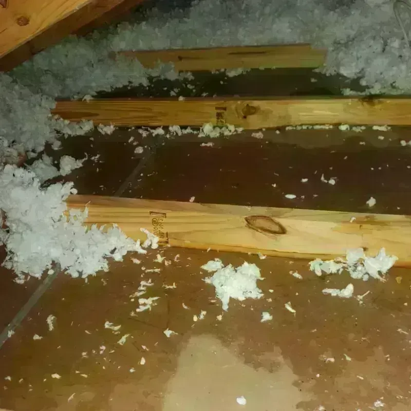 Attic Water Damage in Durham, CA