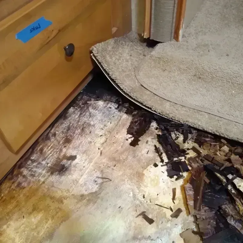 Wood Floor Water Damage in Durham, CA